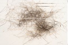 Foto von Textil (NHMW-PRAE-121049)